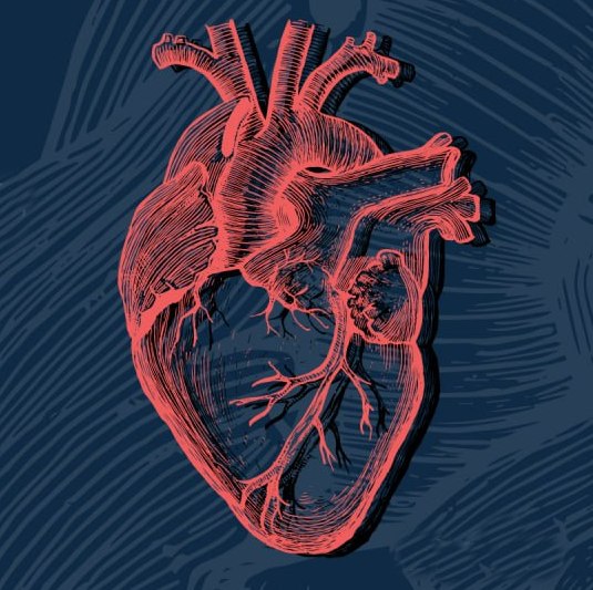 With Care for the Heart