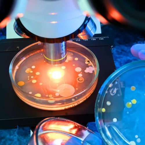 Genetic testing